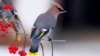 1619701498594.png