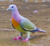 1619721223151.png