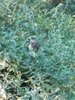 IMG_20201009_160553.jpg