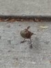 IMG_20190817_185045.jpg