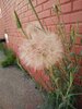IMG_20190607_134856.jpg