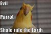 ABEC5E78-B04A-4B43-B804-AA2C8A56E002.jpeg