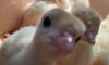 1620049117606.png