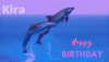 0001-929156886_20210506_172244_0000.png
