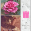 Adobe_Post_20210507_2100390.8360026865045231.png