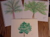 trees series.jpg