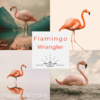 Adobe_Post_20210509_1520500.5067699690271865.png