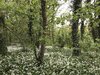 A907F16D-82F7-4F79-A476-91CF7229498A.jpeg
