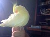 webcam-toy-photo8 (1).jpg
