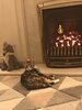 4710F1CE-EB52-4663-BB70-B29507753094.jpeg