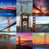 ggbridgecollage.png