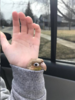 1621530785965.png