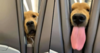1622324140795.png