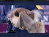 B771EEE5-B055-4780-AB3F-FBF7D3F61B2D.png