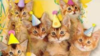 1626093080344.png