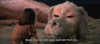 nev3.gif