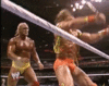 wari.gif