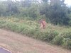 IMG_20210810_201047162.jpg