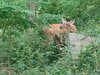 IMG_20210810_172732318.jpg