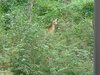 IMG_20210810_173320691.jpg