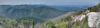1629323452212.png