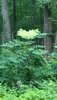 20210806_064131.jpg