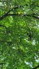76F10EA7-C05B-4FB1-A94D-2306765E6EB3.jpeg