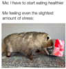 1631145492505.png