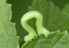 1631227650102.png