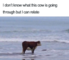 1632011245198.png