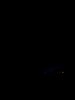 20210927_220802.jpg