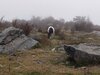 IMG_20211012_155924828.jpg