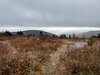 IMG_20211012_172328128_HDR.jpg