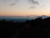 IMG_20211012_185641462.jpg