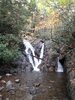 IMG_20211013_082713035.jpg