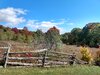 IMG_20211013_143739198_HDR.jpg