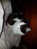 20211011_010014.jpg