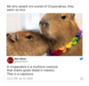 1635375211561.png