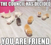 1637267140128.png