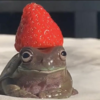 1638327418583.png