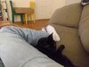 IMG_20211204_190313549.jpg