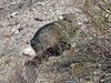 IMG_20220120_120502120.jpg