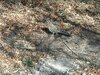 IMG_20220119_150317965.jpg