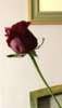 0BABF0B0-BFCC-4531-BC45-BD793B987F8D.png