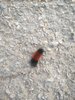 IMG_20201211_143523.jpg