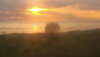 547BE7B8-A951-40B9-B8E3-1E28B450F497.png
