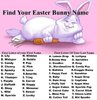 26442248.46_348772-Find-Your-Easter-Bunny-Name.jpg