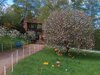easter-tree-3 (1).jpg