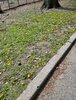 3C7209D6-8915-4E81-986E-2AD6AC81F707.jpeg