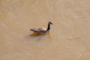 1651101322531.png